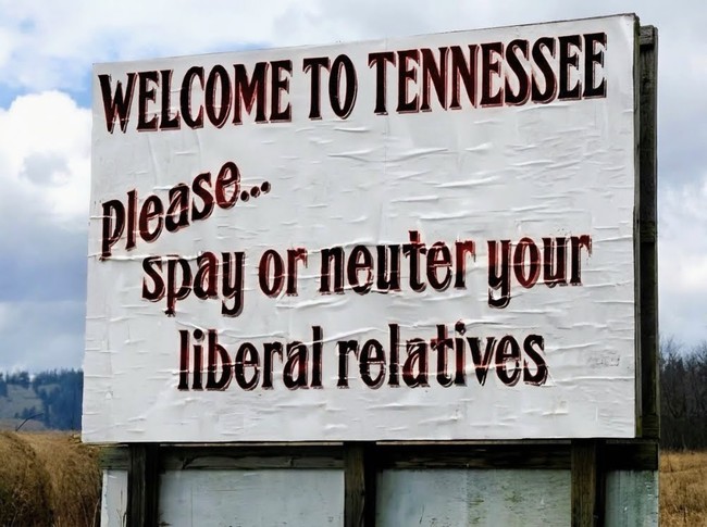 spay