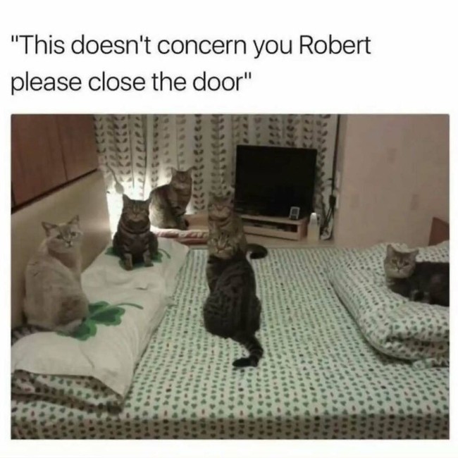 robert