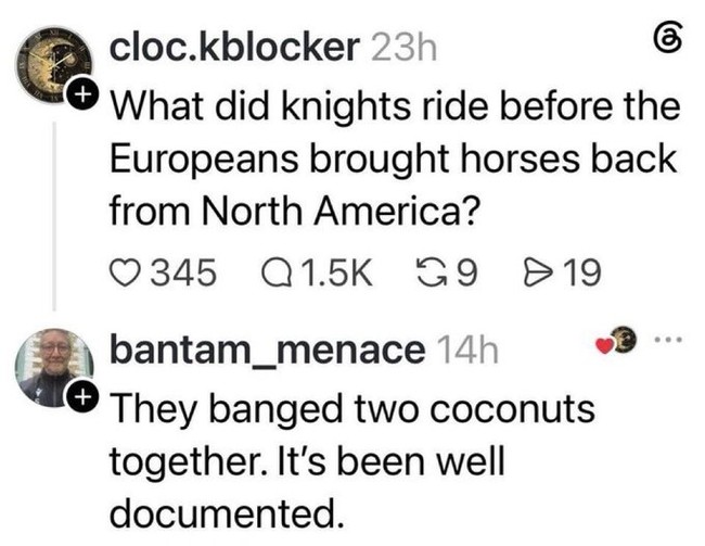 coconuts