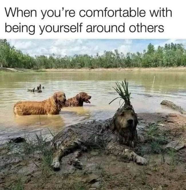 comfort