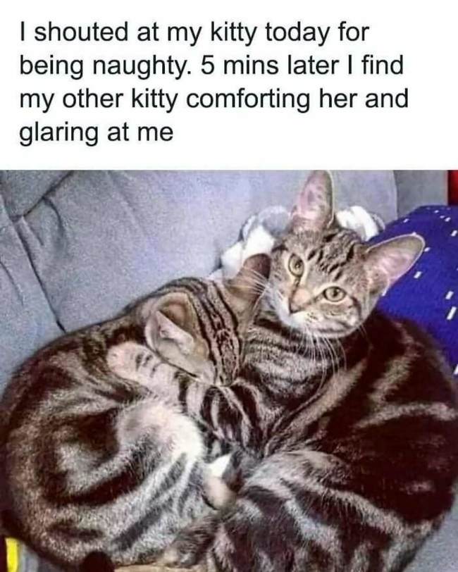 comfort