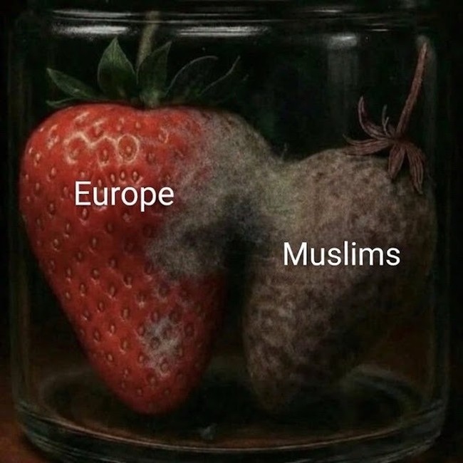 EuroMuslims
