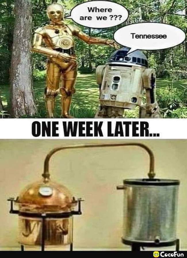 oneweek