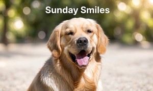 Sunday Smiles