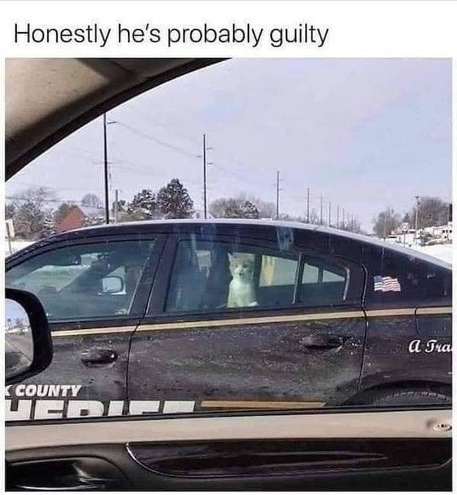 Guilty