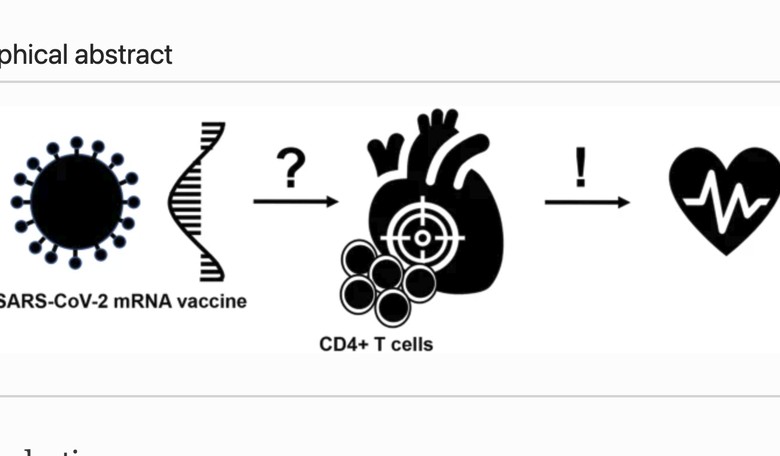 German study: COVID-19 vaccine killing otherwise healthy people