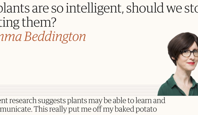 BBC wonders if eating plants is ethical or murder