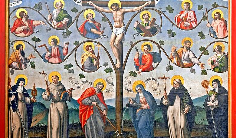 Who owns the vineyard? Sunday reflection