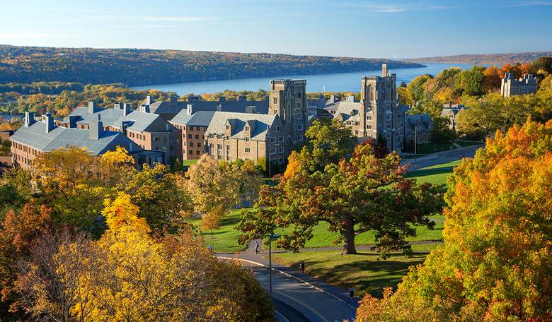 Cornell Has 1 Administrator for Every 2 Undergrads