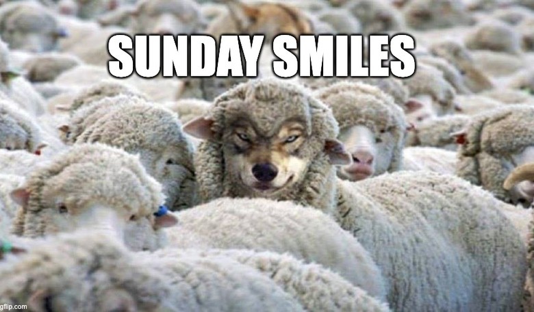 Sunday Smiles