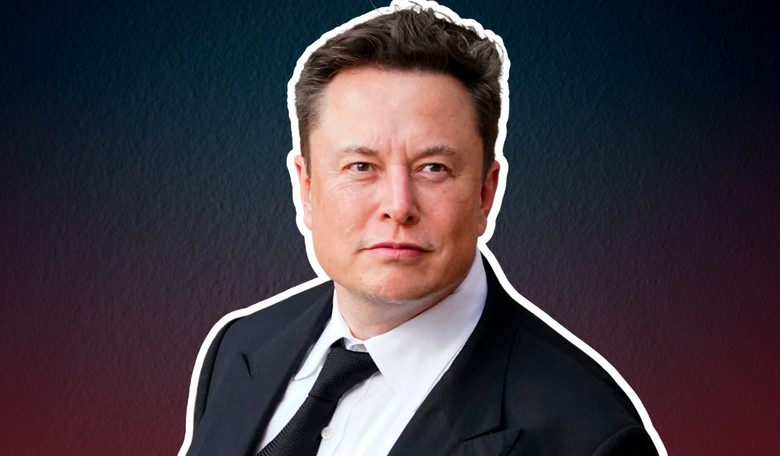 'We're Back': Elon Musk Reinstates Three Big Twitter Accounts