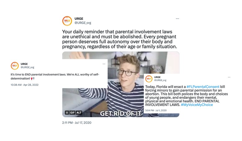 This State's Radical Abortion Amendment Is Another Attempt to Abolish Parental Rights