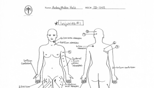 BREAKING: Nashville Shooter Autopsy Obtained - Vimarsana News