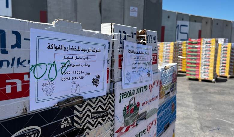 The Sick Jihad Against the Gaza Humanitarian Foundation