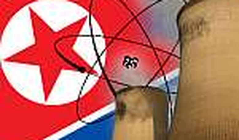 Is North Korea Seriously Disarming?