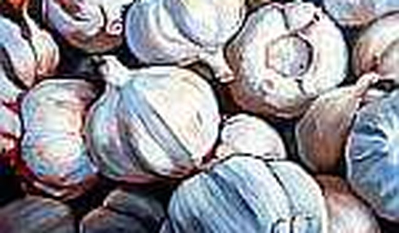 Garlic: The Good, the Bad, and the Pesto
