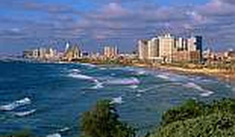 Paris Lights: Tel Aviv A La Carte