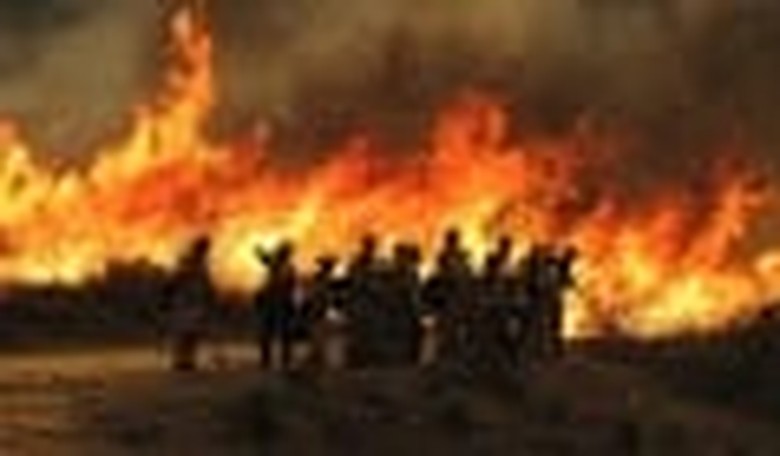 Life Under Fire: The View From San Diego