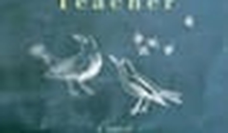 Ain't Misbehavin': Tom Perrotta's 'The Abstinence Teacher'