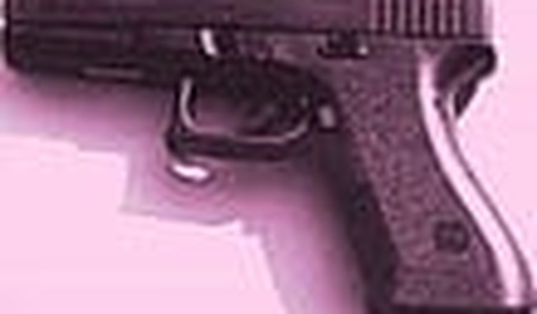 Pink Pistols: Can Guns Protect Gays?