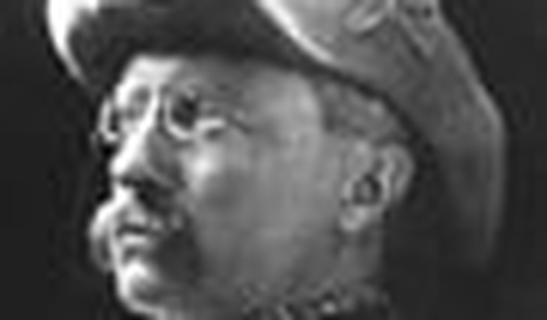 Should McCain Be Comparing Himself to Churchill and Teddy Roosevelt?
