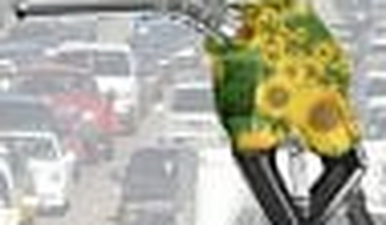 Not All Biofuels Are the Same