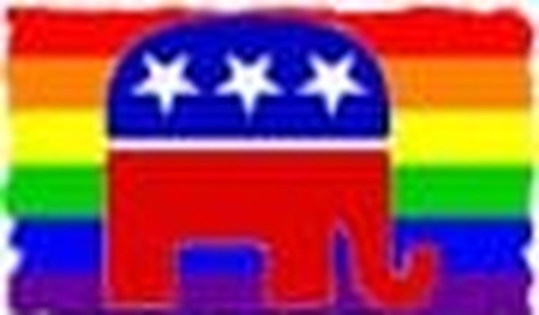 Can McCain Crack the Gay Vote?