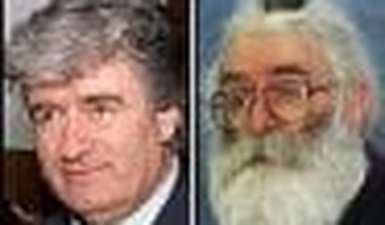 Dr. Karadzic, I Presume? The Monster As Healer