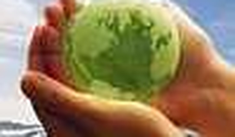 'Green' Kids Befuddled by Nature