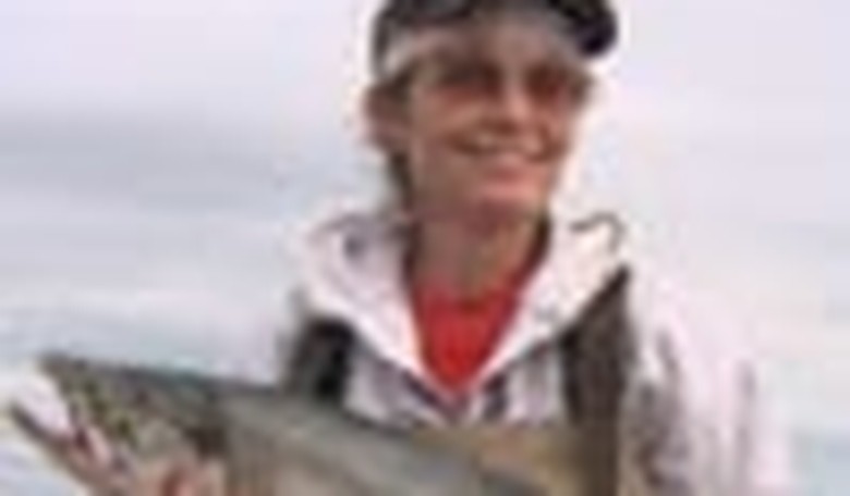 Separating Palin Fact from Palin Fiction