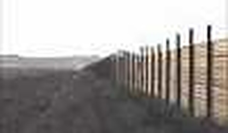 Immigration: The Forgotten Issue of Election '08