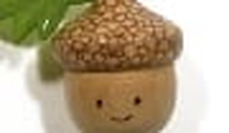 The Complete Guide to ACORN Voter Fraud