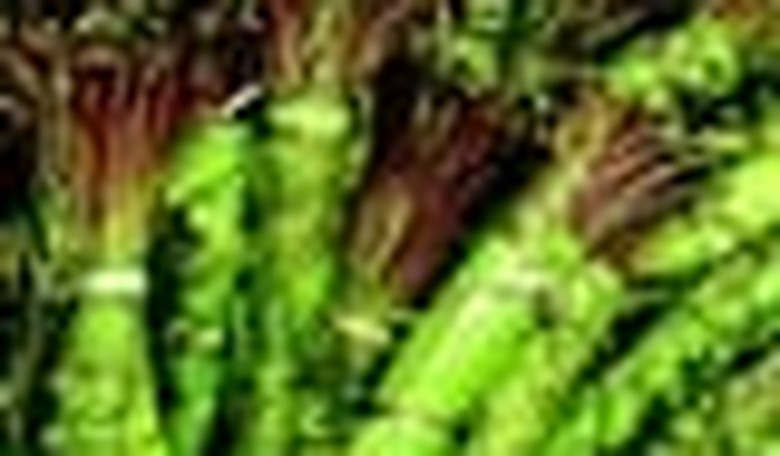 Legal Trade of Khat in UK Funding Terror in Yemen?