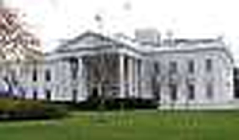 Taliban Terrorist Targets Washington