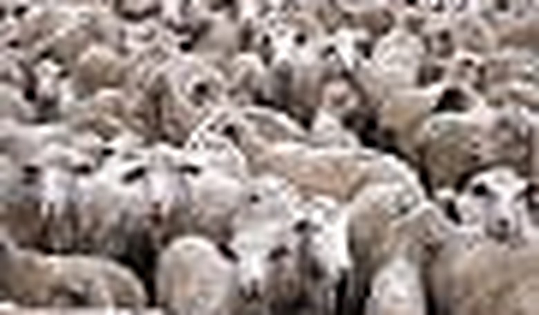 The End of Collectivism