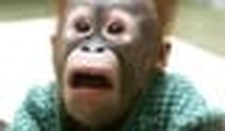 Andrew Klavan? He's Shocked