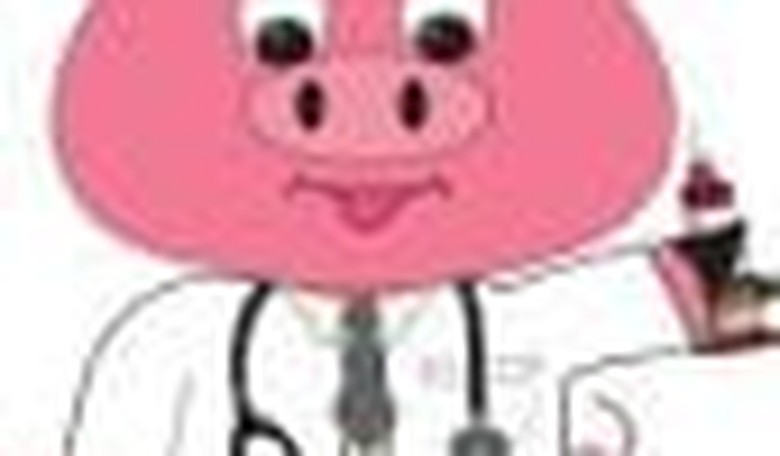 This Swine Flu Plan Is Nuts