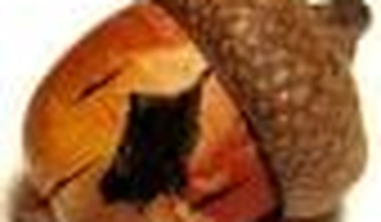 Cracking ACORN Requires Comprehensive Electoral Reform