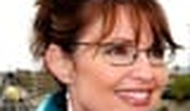 PalinTracker: An Open Letter, the Constitution, a Facebook Phenom