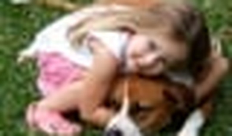 The Economy's Helpless Victim: The Family Pet