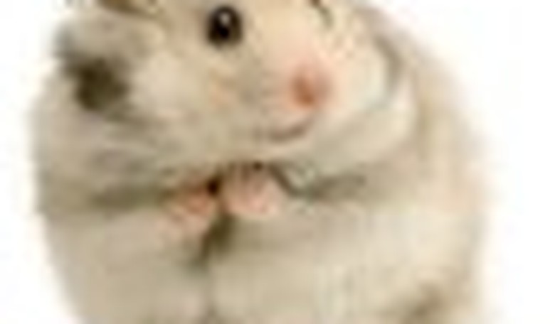 Climategate and the Hamster Effect