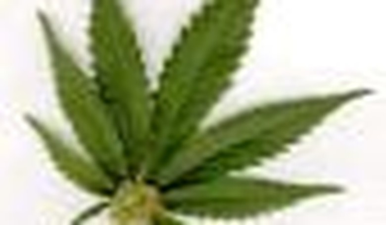Libertarians Need to Rethink Support for Drug Legalization