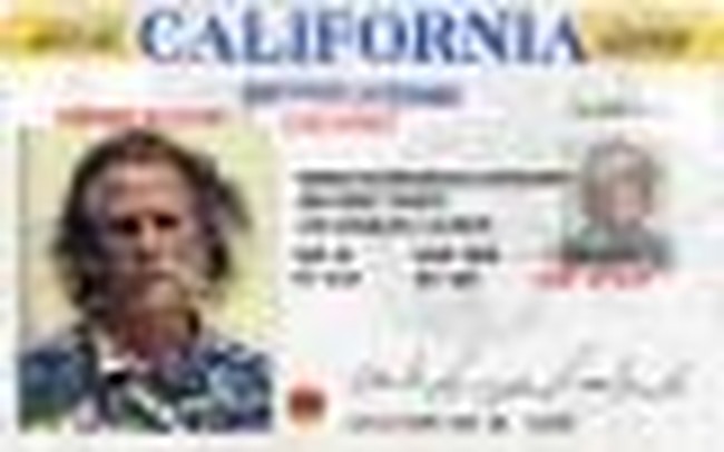 A 'Driver's License' for Anonymous Internet Commenters? – PJ Media