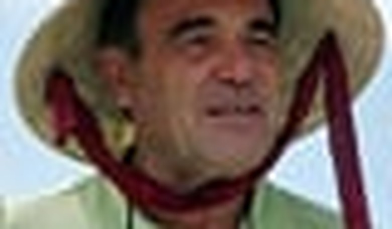 Oliver Stone's Black Armband History — Coming Soon to Showtime