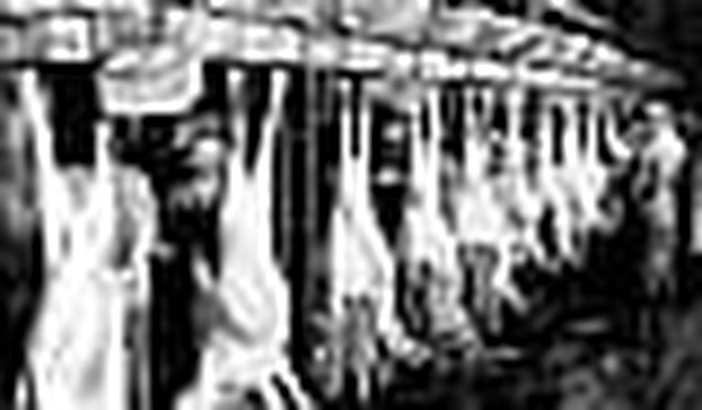 At the Corner of Food Safety and Media Bias