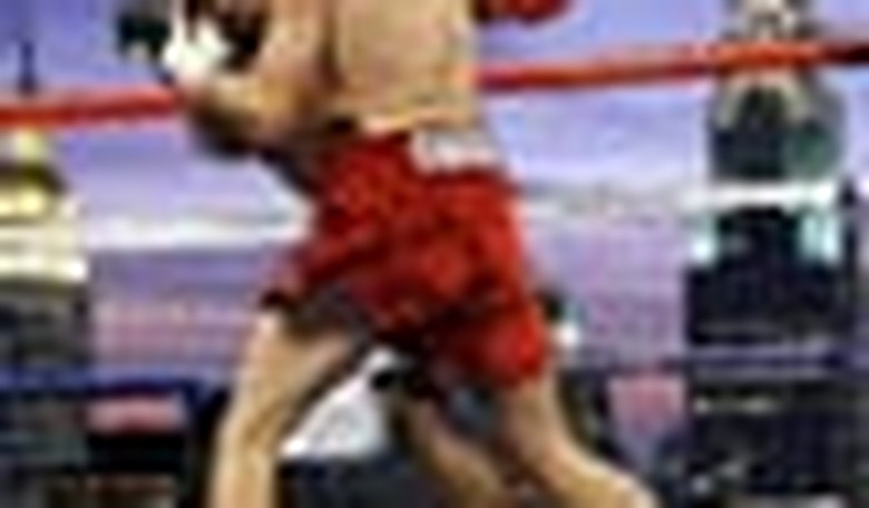 The Battle to Bring Mixed Martial Arts to the Empire State