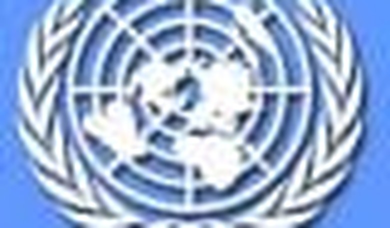 Hot Tips on UN Waste, Fraud, and Abuse