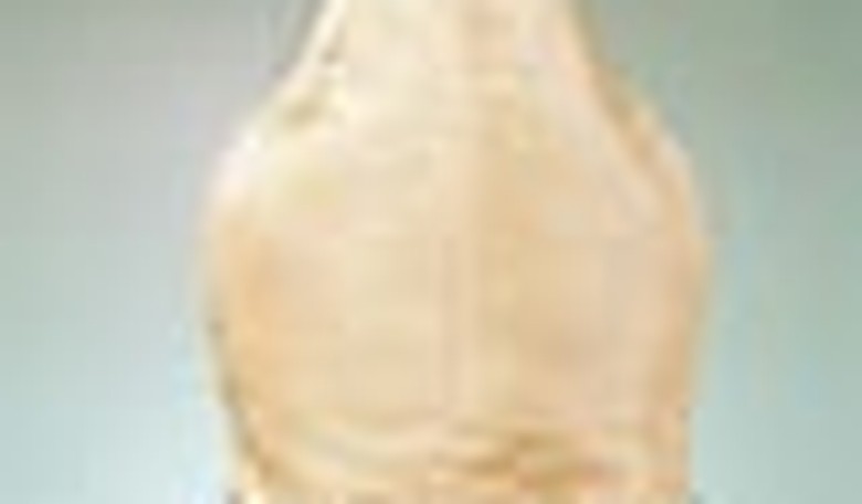 A Modest Proposal: the Inverse-Burqa Law