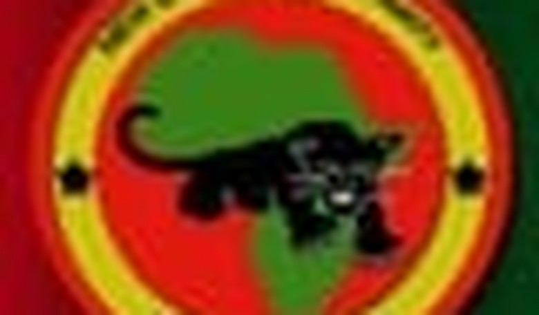 Dissenting with Paul Mirengoff: New Black Panther Case Should Not Have Been Dismissed