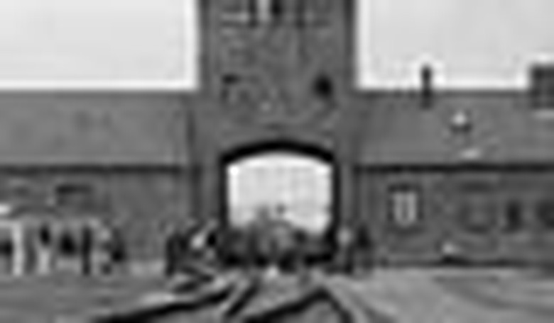 Iran's Holocaust Cartoons: The Latest in Holocaust Denial